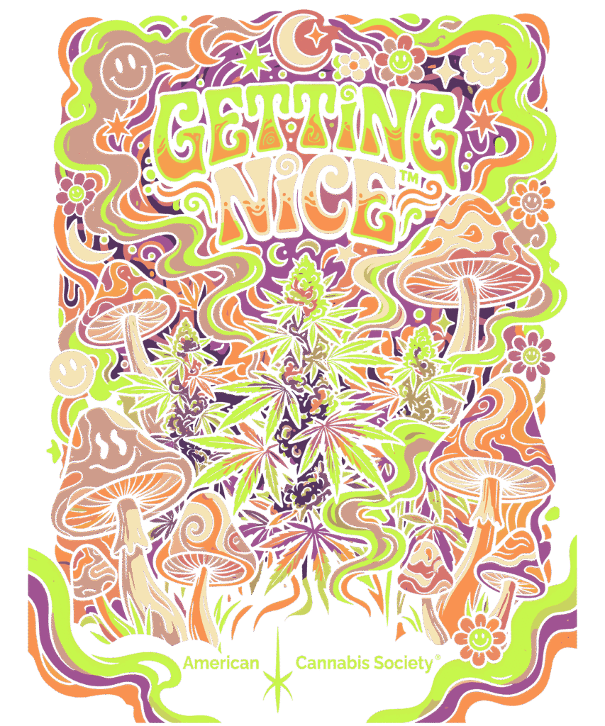 THCFACTOR clothing line cannabis streetwear graphic tee design