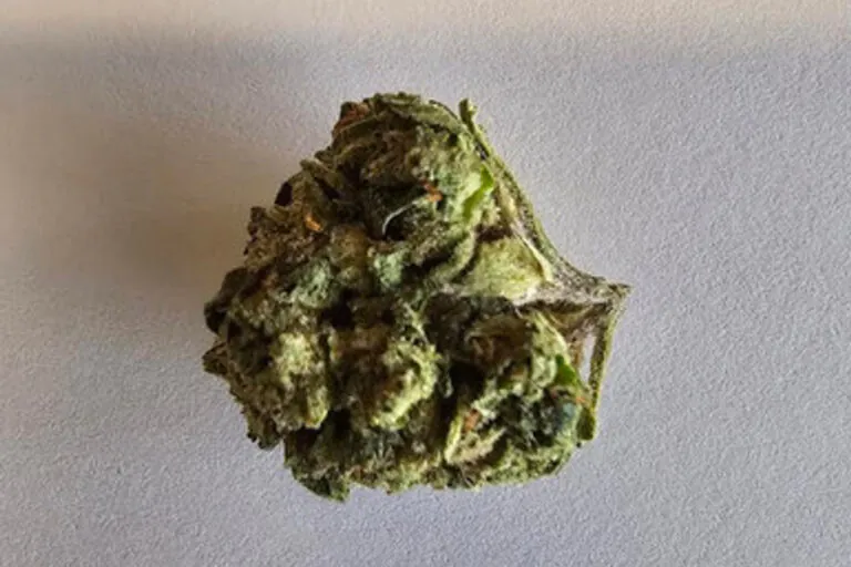 Premium THCA flower bud — Insane Pound Cake strain from GreenRX™ Sauk City, available for delivery to Spring Green, WI